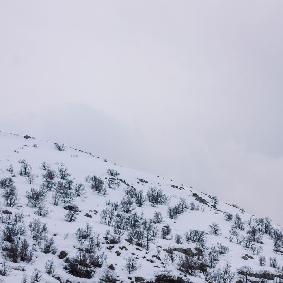 Paisagem em um dia de inverno