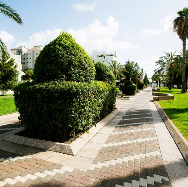 Parque en el centro de la ciudad